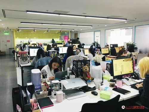名企探營第二站 新東方體系下的斯芬克國際藝術教育——引領未來藝術留學的專業指南